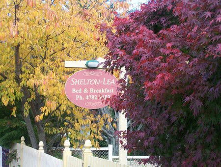Shelton-lea Bed & Breakfast - Accommodation Tasmania 0