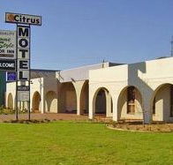 Citrus Motel - Accommodation Tasmania