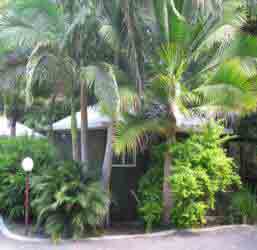Nambour Rainforest Holiday Village - Accommodation Tasmania 1