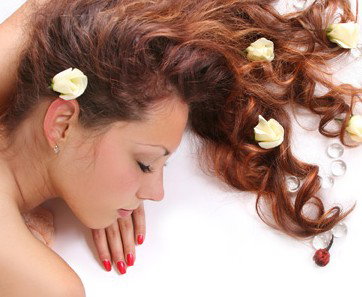 A Country Health Retreat - Accommodation Tasmania 0