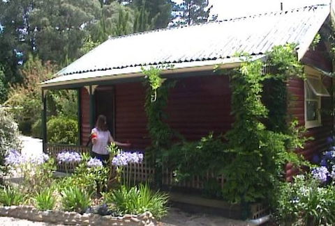 Cedar Lodge Cabins - Accommodation Tasmania 1