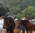 Clark Bay Cottages - Accommodation Tasmania