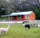 Moorallie Cottage Farm Stay - Accommodation Tasmania