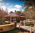 Starline Alpaca Farm Stay - Accommodation Tasmania