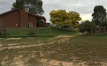The Art Shack - Accommodation Tasmania 4