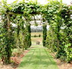 All Saints Bed and Breakfast - Accommodation Tasmania