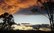 Silkwood B And B - Accommodation Tasmania 0