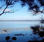 The Edgewater Bed and Breakfast - Accommodation Tasmania