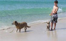 A Paradise Bungalow Waterfront - Accommodation Tasmania 0