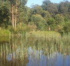 Fosterton Lodge Retreat - Accommodation Tasmania