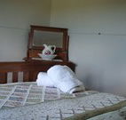 Love Me Tender - Accommodation Tasmania