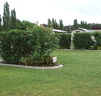 Wheatfield Cottage - Accommodation Tasmania