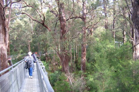 Walpole YHA - Accommodation Tasmania 0