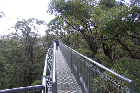 Walpole YHA - Accommodation Tasmania 1