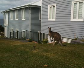 Hyams Beach Bed And Breakfast - Accommodation Tasmania 6