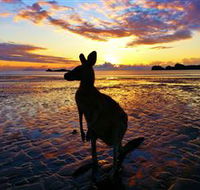 Cape Hillsborough Nature Tourist Park - Accommodation Tasmania