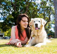 Jacobs Well Tourist Park - Accommodation Tasmania