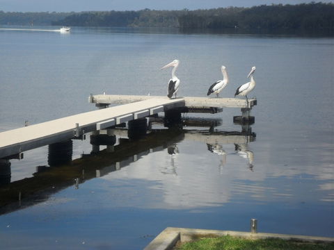 Basin Cabin - Accommodation Tasmania 0