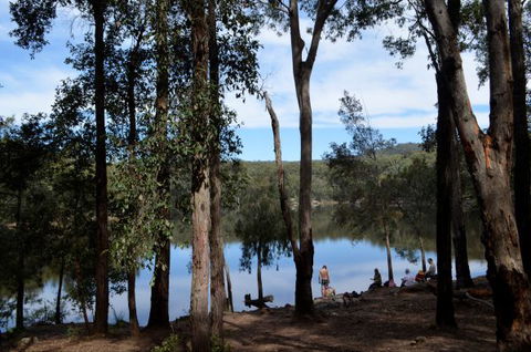 Moosewood - Accommodation Tasmania 2