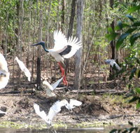 Rakhi Retreat - Accommodation Tasmania