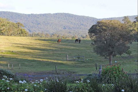 Wallaby Cottage - Accommodation Tasmania 1