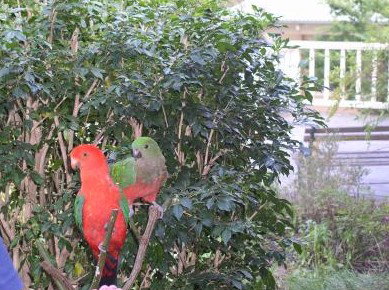 Kemeys At Mandalong - Accommodation Tasmania 5