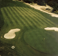 Emerald Golf And Country Resort - Accommodation Tasmania 1