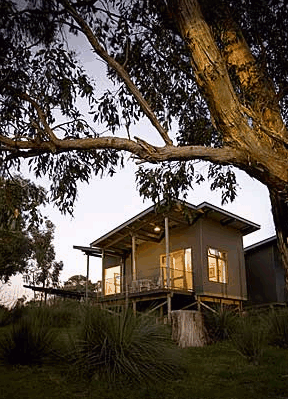 Longview Vineyard - Accommodation Tasmania 1
