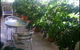 Aba Abode - thumb 0