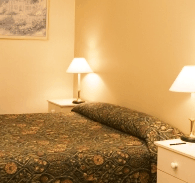 Best Western Abel Tasman Airport Motor Inn - Accommodation Tasmania