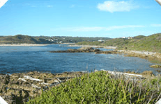 Arthur River Cabin Park - thumb 5