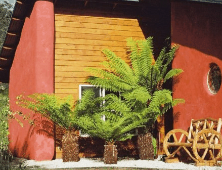 Whispering Spirit Cottage  Miniature Pony Stud - Accommodation Tasmania