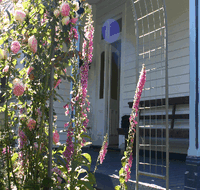 Devonport Bed And Breakfast - Accommodation Tasmania