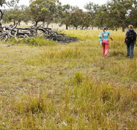 Carnarvon National Park camping - Accommodation Tasmania