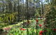 Werekataba - thumb 0