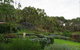 Pear Tree Hollow - thumb 5