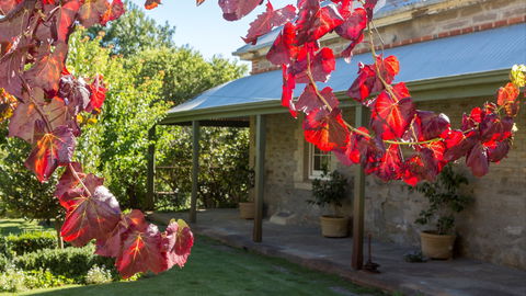 Grand Cru Estate Homestead - Accommodation Tasmania 0