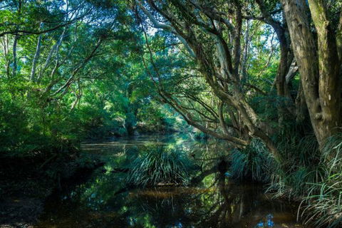 All About Me Bed And Breakfast - Accommodation Tasmania 9