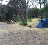 Allports Beach Camping Ground - Accommodation Tasmania