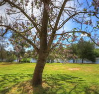 Breakaway Twin Rivers Caravan Park - Accommodation Tasmania