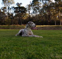 Hunter Valley Retreat - Accommodation Tasmania