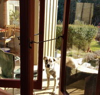 Mara Ponds Branxholm - Accommodation Tasmania