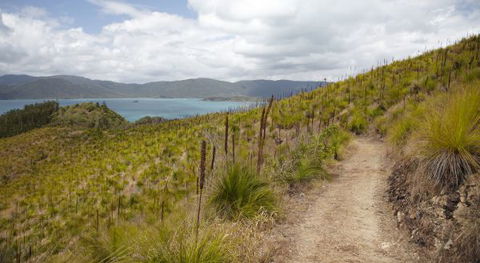 Molle Island National Park (Whitsundays National Park) Camping Ground - Accommodation Tasmania 2