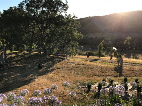 Shearer's Hill - Luxury Farm Stay - Accommodation Tasmania 9