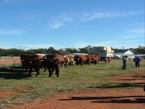 Trundle Showground - Accommodation Tasmania 1