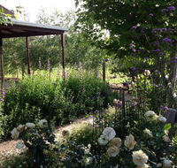 Wandana Bed and Breakfast - Accommodation Tasmania