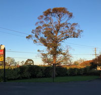 Alfred Motor Inn - Accommodation Tasmania