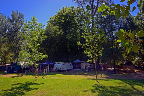 Ardern's Caravan Park Myrtleford - Accommodation Tasmania 0