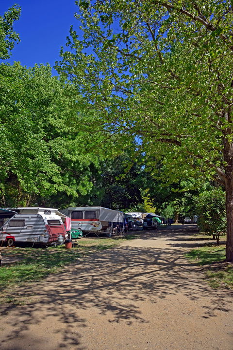 Ardern's Caravan Park Myrtleford - Accommodation Tasmania 1