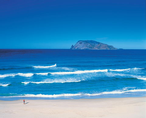 Banksia Camp At D'Entrecasteaux National Park - Accommodation Tasmania 1